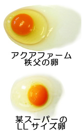 �F���S�R�Ⴄ�ˁB